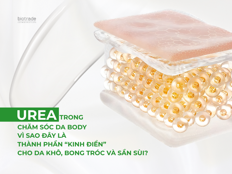 Urea trong chăm sóc da body: Cơ chế dưỡng ẩm và phục hồi da khô chuyên sâu